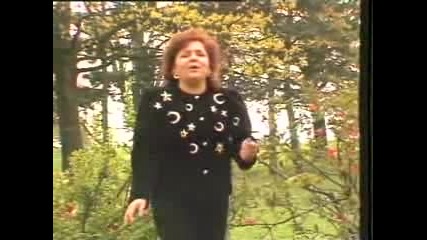Vida Pavlovic - Pomirenja Nema