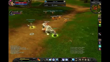 Devillwizz has killed Tiger Girl