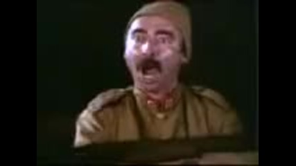Тези обичат да се забавляват !