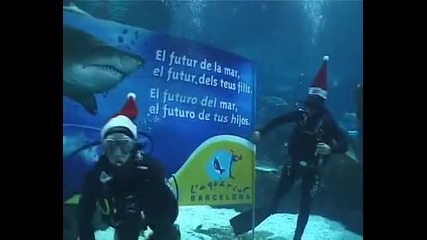 Bojan Krkic in Aquarium 