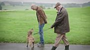 Най-самотното куче в Англия с роля в новия филм на Майкъл Бей и Антъни Хопкинс.