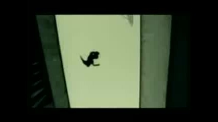 David Belle 