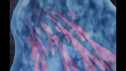 Naruto Shippuden Episode 012 English Dubbed