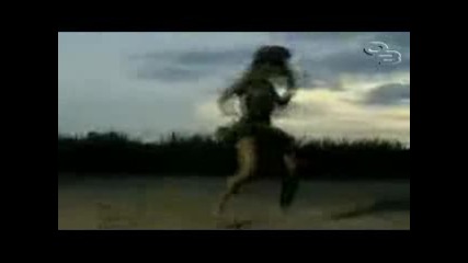Beyonc Vs. Gazebo - I Like Chopin