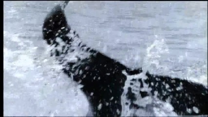 Madonna - Cherish Official Music Video Hd