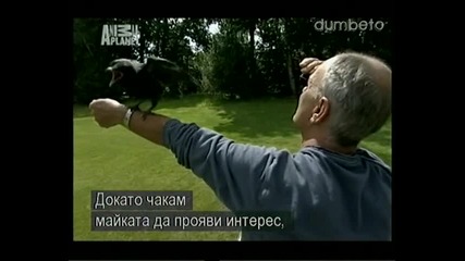 Animal Planet - Помощ За Дивата Природа ( Част 1 )