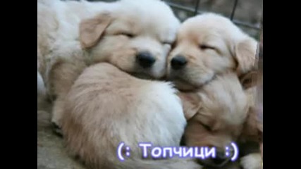 [: Много сладки животинчета :]