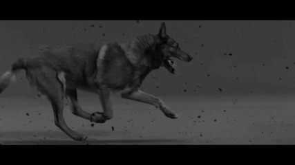 Woodkid - Iron