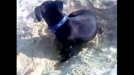 Mike na plaja [rofl]