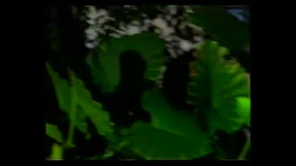 Pasxalis - nai egw Official Video Clip