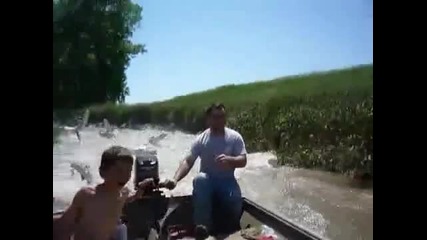 Много луди риби !