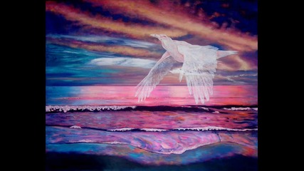 The last white crow flies alone