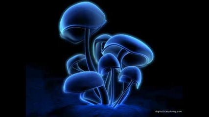 Infected mushroom - Cities of the future
