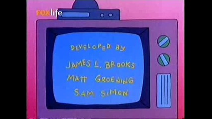 The Simpsons - S10e20 Bgaudio