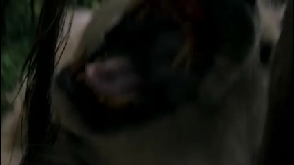 Lost Season 6 - promo 2 