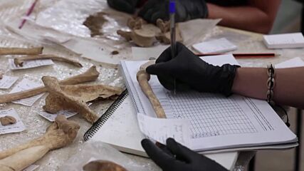 Мистерия на Канарските острови: Откриха шест скелета, погребани в пещера