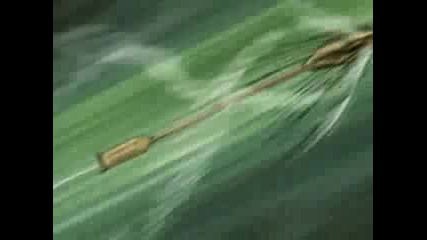 Neji Almoust Dies