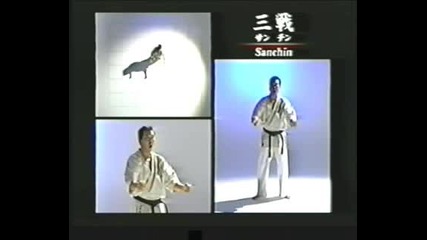 Sanchin.avi