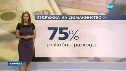 Българите харчат 75% от парите си за битово оцеляване