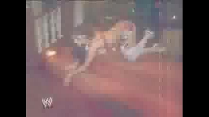 wwe divas