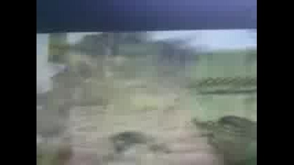 Cs 1.6