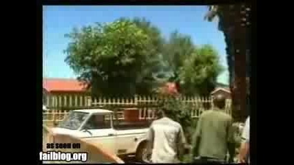 Идиоти Преместват на голяма палма - катастрофа
