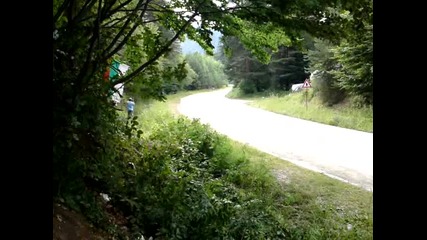 Wrc 2010 Peshtera