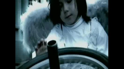 Моранди Angels