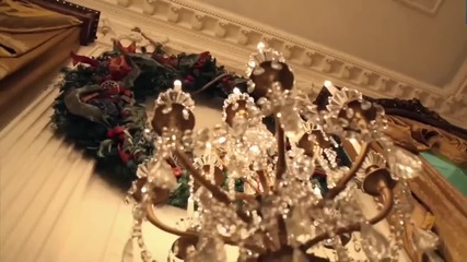 Тиха нощ, свята нощ в Дивата Природа