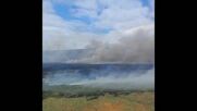 Пожари на Великденския остров увреждат свещените статуи на Моаи (ВИДЕО)
