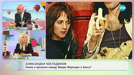 Каква е връзката между Фреди Меркюри и бокса