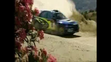 Subaru & Peugeot WRC Teams