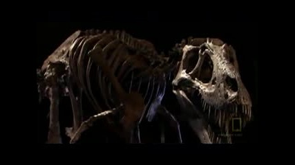 Dinosaurus Prehictoric Predator Documental English Film Yonetmen 2016 Hd
