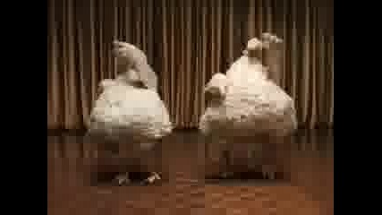 Танцуващите пилета
