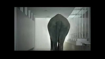 Слон с газове 