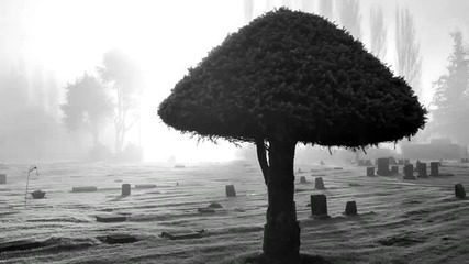 Airwave - Sleep Alone