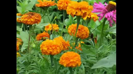 Kenny G - You Beautiful