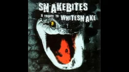 Whitesnake - Black And Blue