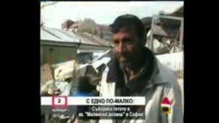 Ромски Изцепки
