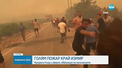 Над 1000 огнеборци гасят горски пожари в Измир, 50 000 души са евакуирани