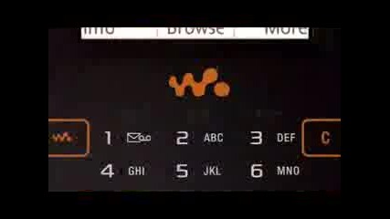 Sony Ericsson W950