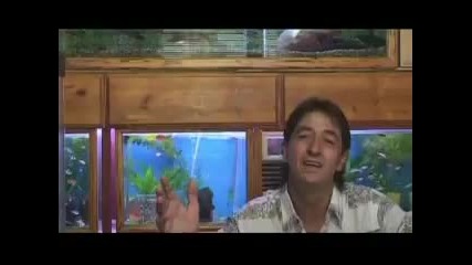 Nuki Dolicanin - Ja Zivim Sam