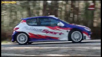 Peugeot 206 Super 1600