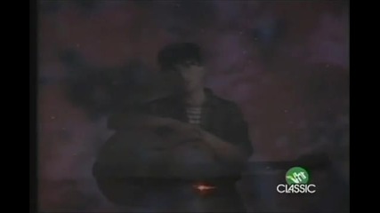 Lightning Seeds - Pure 