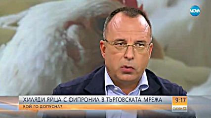 Все още не е яснено как фипронилът е проникнал в яйцата