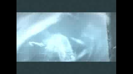 Sirius Black - A Tribute.flv