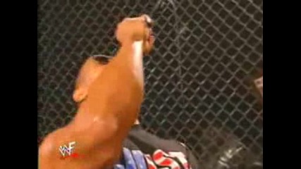 The Rock пее Viva Las Vegas