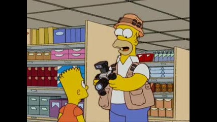 The Simpsons