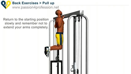 Pull Up Exercise