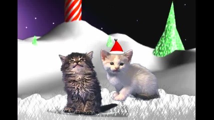 Котета пеят Рождественска песен
